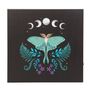 Luna Moth Light Up Canvas Plaque, thumbnail 2 of 3