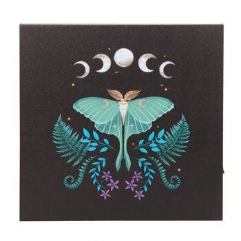 Luna Moth Light Up Canvas Plaque, 2 of 3
