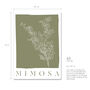 Botanical Mimosa Print, thumbnail 3 of 4