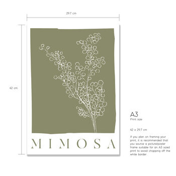 Botanical Mimosa Print, 3 of 4