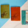 Personalised Leather Passport Holder With Stag Beetle, thumbnail 1 of 12