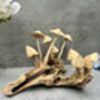 20cm Hand Carved Wooden Mushroom Figurine Coffee Root Wood, thumbnail 1 of 12