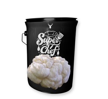 'Super Chef' Lion's Mane Mushroom Grow Kit, 4 of 4