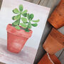 Jade Plant Illustrated Print, thumbnail 3 of 5