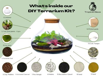 Make Your Own Terrarium Kit Diy | 'Dubrovnik', 3 of 9