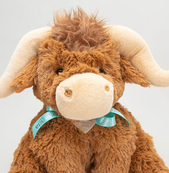 Large Longhorn Highland Cow With Personalised Heart, 9 of 12