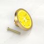 Citrus Summer Fruit Slice Cupboard Cabinet Knobs, thumbnail 7 of 9
