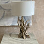 Branched Driftwood Table Lamps, thumbnail 3 of 8