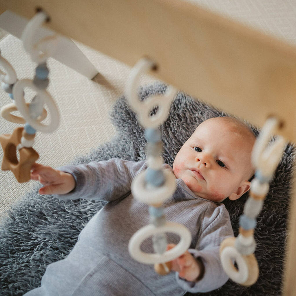 Image of Classic Range Wooden Play Gym In Pastel Blue