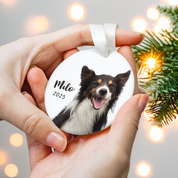 Custom Pet Photo Ornament Name And Year 2025, 6 of 8