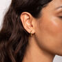 Teardrop Domed Gold Huggie Hoop Earrings In 18 K Gold Plated Vermeil, thumbnail 3 of 5