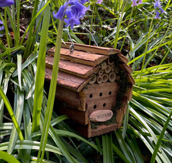 Beneficial Busy Bee And Insect House, 3 of 7