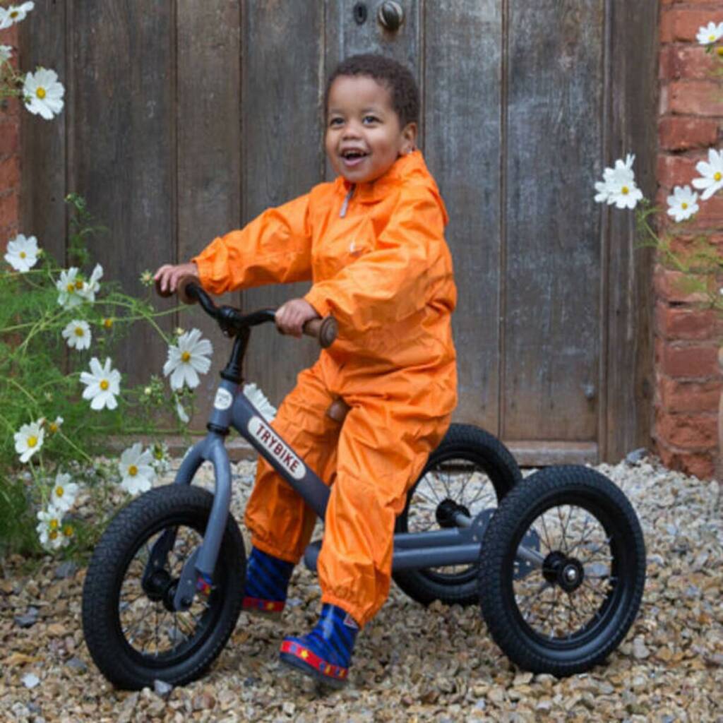 Image of 2 In 1 Trike And Balance Bike