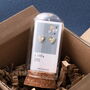 A Little Love Earrings In Terrarium Bottle, thumbnail 1 of 5