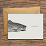 'Happy Birthday You Old Trout' Birthday Card, thumbnail 4 of 4