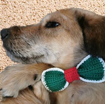 Hand Crocheted Christmas Pet Bowtie Charm, Three Styles, Two Sizes, 2 of 7