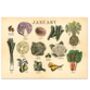 Personalised UK Seasonal Fruit And Vegetable Dateless Wall Calendar, thumbnail 5 of 8