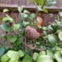 Metal Robin Redbreast Garden Stake – Bird Ornament, thumbnail 3 of 8