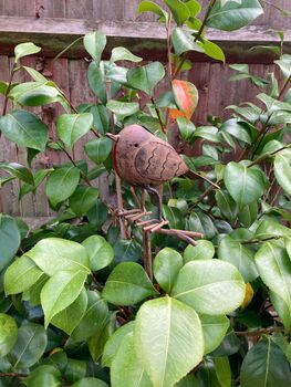 Metal Robin Redbreast Garden Stake – Bird Ornament, 3 of 8