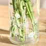 Personalised Wildflower Cylinder Glass Vase, H25cm, thumbnail 4 of 5