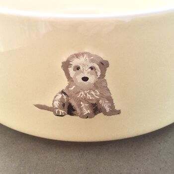 Cockapoo Dog Bowl, 3 of 3