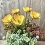 Buttercup Garden Stakes Set Of Five, thumbnail 2 of 5