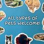 Personalised Holographic Pet Face Portrait Stickers, thumbnail 6 of 12
