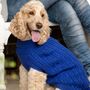 Plain Knitted Blue Dog Jumper, thumbnail 2 of 5