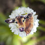 Inky Cow Eco Wooden Pin Brooch, thumbnail 3 of 5