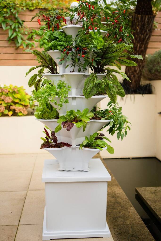 Hydroponic Vertical Growing System Acqua Garden, 1 of 7