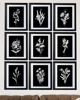 Nine Framed Botanical Wall Art Prints, 12 of 12