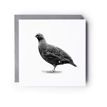Red Grouse Wildlife Greeting Card, 3 of 6