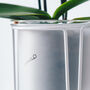 Orla, Glass Planter With Stand, Ideal For Orchids, thumbnail 4 of 10