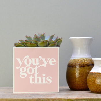 'You've Got This' Positivity Plant Pot And Houseplant, 2 of 7