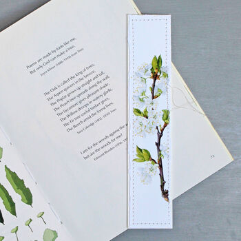Botanical Bookmarks With Spring Illustrations, 3 of 6