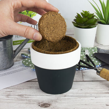 Grow Your Own Herb Garden, 4 of 5