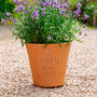 New Baby Personalised Flower Pot, thumbnail 1 of 4