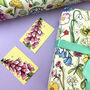 Wildflowers Of Britain Wrapping Paper, thumbnail 11 of 11