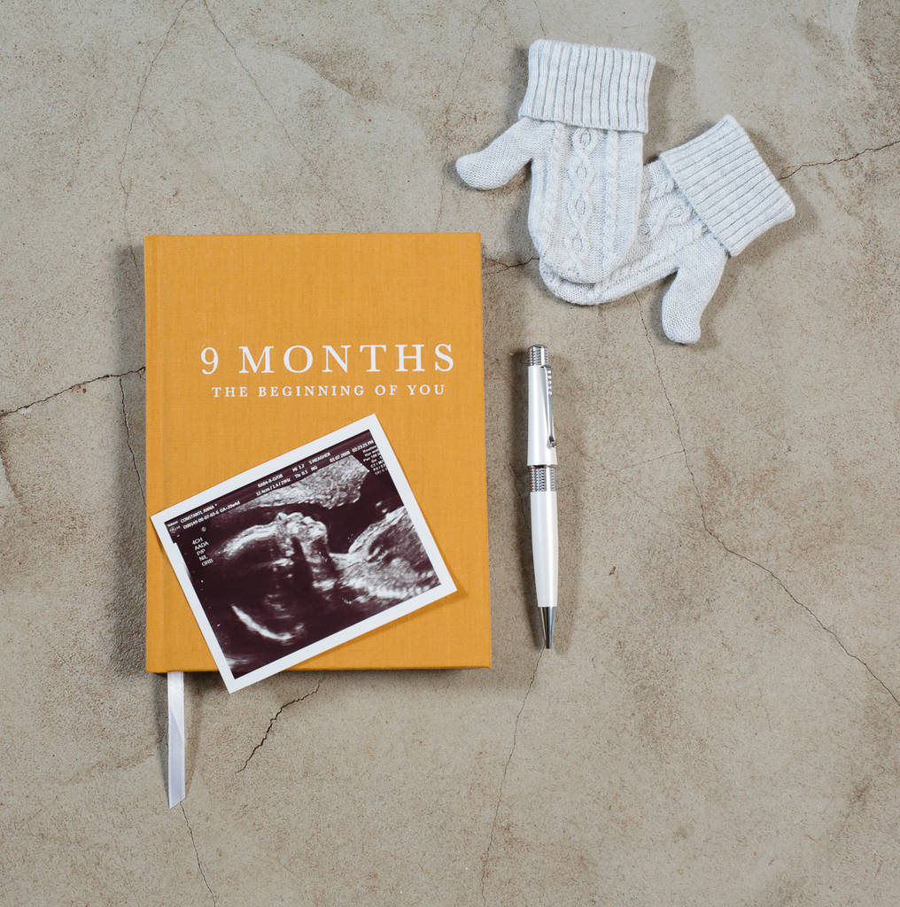 pregnancy record book nine months the beginning of you by meminio