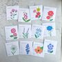 Flower Gardening Gift Seed Kit, thumbnail 4 of 6