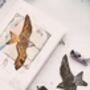 Red Kite Over Oxfordshire Linocut And Monoprint, thumbnail 4 of 4