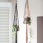 Popcorn Knot Macrame Plant Hanger Craft Kit, thumbnail 6 of 10