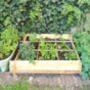 Compact Wooden Vegetable Garden, thumbnail 1 of 5