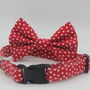 Red And White Hearts Dog Bow Tie, thumbnail 6 of 7