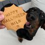 Personalised Halloween Dog Treats, thumbnail 1 of 4