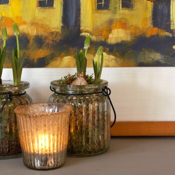 Ribbed Glass Jar With Spring Bulbs Muscari, Set Of Two, 6 of 7