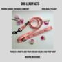 Pink Floral Dog Collar And Lead Set, thumbnail 3 of 5