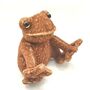 Toad Frog Soft Plush Toy With Gift Bag, thumbnail 1 of 7