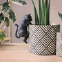 Large Cat Pot Hanger, thumbnail 2 of 3