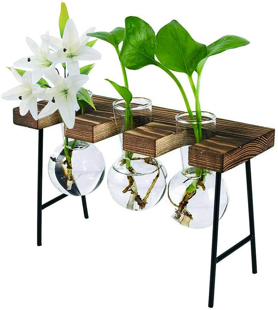 Desktop Plant Terrarium With Wooden Stand By Air Armor